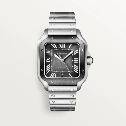 Cartier Santos Stainless Steel Men’s Watch, WSSA0037 1
